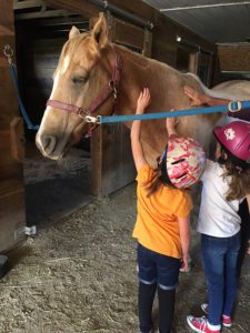 Spaulding Youth Center Receives Grant from the New Hampshire Charitable Foundation in Support of Equine Therapy and Horsemanship Programs
