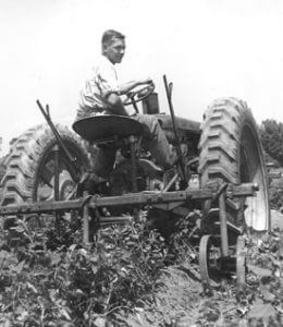 Working on the farm, 1950s.